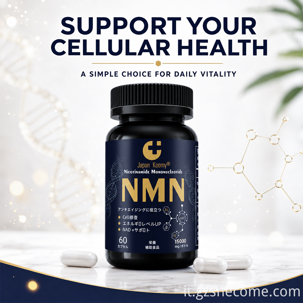NMN 15000mg Capsules9